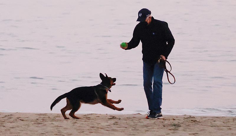 Momen Presiden Joe Biden Ajak Jalan-Jalan Anjing Barunya Commander - Bagian 1
