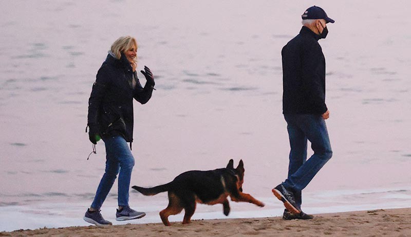 Momen Presiden Joe Biden Ajak Jalan-Jalan Anjing Barunya Commander - Bagian 3