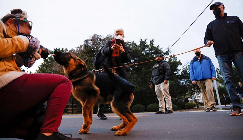 Momen Presiden Joe Biden Ajak Jalan-Jalan Anjing Barunya Commander - Bagian 5