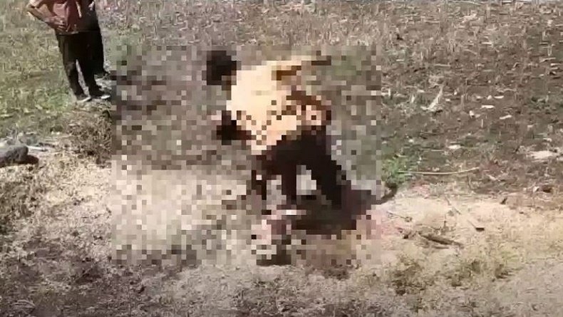 Viral Duel 2 Siswa SMP di Lombok Timur, Adu Jotos di Tengah Sawah