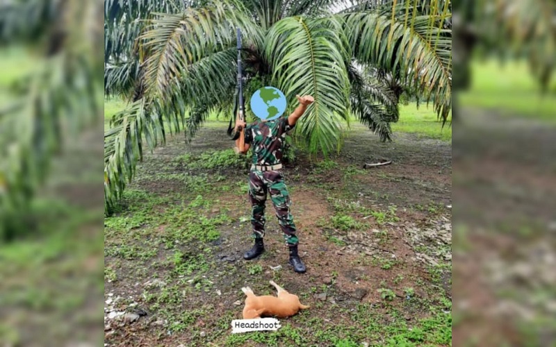 Viral di Twitter, Foto Anggota TNI Menembak Anjing Liar hingga Mati di Sumsel