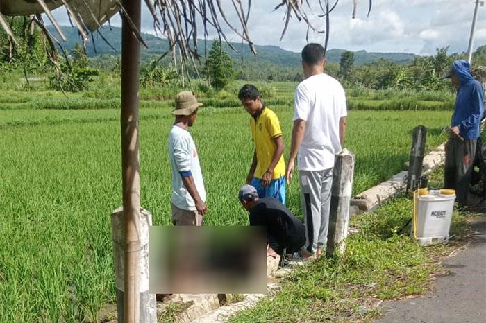 Geger, Warga Sendangsari Kulonprogo Ditemukan Tewas di Selokan