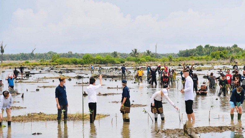 title Dubes Negara Sahabat Terkesan Diajak Jokowi Tanam Mangrove, Sempat Berbincang di Saung Kayu Dubes Negara Sahabat Terkesan Diajak Jokowi Tanam Mangrove, Sempat Berbincang di Saung Kayu