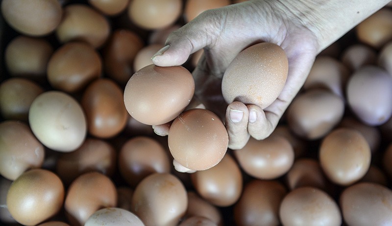 Inflasi Sepanjang 2021 Capai 1,87 Persen - Bagian 2