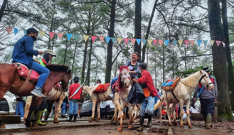 Kawasan Wisata Pohon Pinus Malino Dipadati Wisatawan - Bagian 1