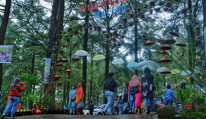 Kawasan Wisata Pohon Pinus Malino Dipadati Wisatawan - Bagian 2