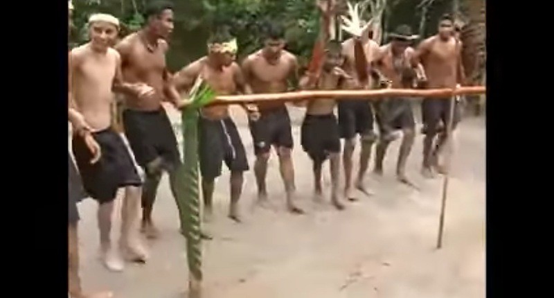 Mengenal Ritual Mengerikan Suku Satere Mawe di Pedalaman Amazon