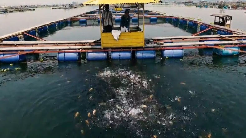 Dispernakan KBB Pastikan Kualitas Air Aman dan Ikan Waduk Saguling Layak Konsumsi