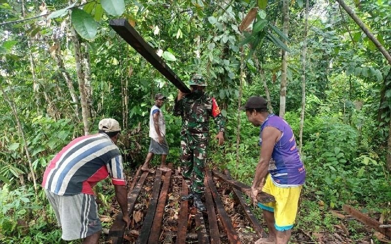 Panggul Kayu, Begini Aksi TNI Bantu Warga Bangun Balai Kampung di Mamberamo Raya Papua