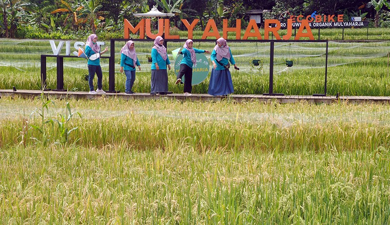 Kampung Wisata Tematik Mulyaharja Sajikan Pemandangan Sawah dan Gunung Salak - Bagian 2