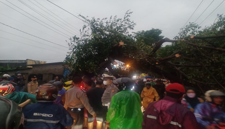 Hujan Petir Disertai Angin Kencang Terjang Purwakarta, 10 Rumah Rusak 1 Pohon Tumbang