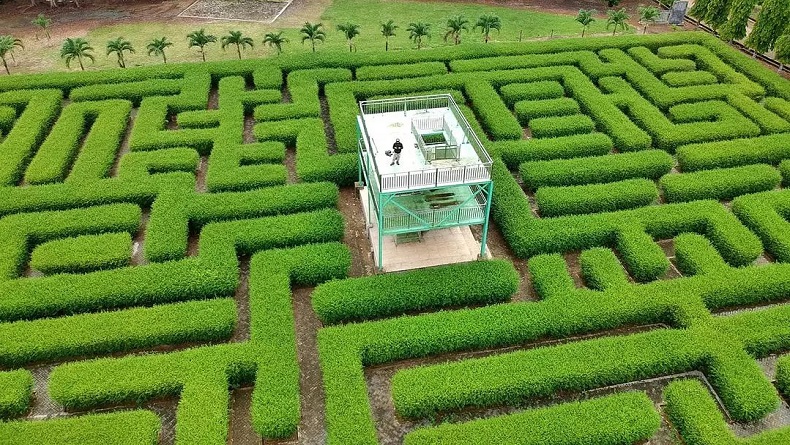 Menikmati Serunya Tersesat di Taman Labirin Desa Sungai Jelai Tanah Laut 