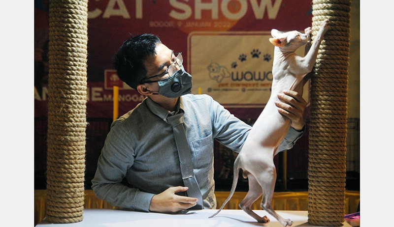 Kontes Kucing Ras Nasional - Bagian 1