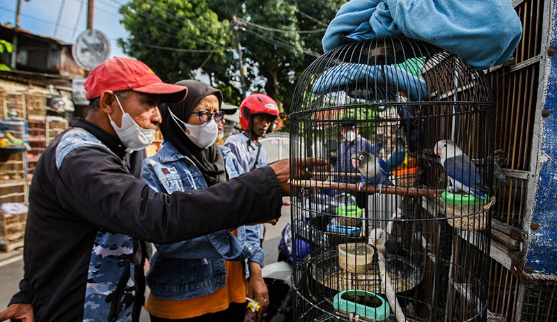 Berburu Hewan Peliharaan di Pasar Jatinegara - Bagian 2