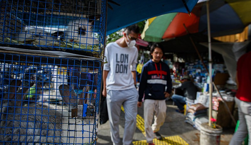 Berburu Hewan Peliharaan di Pasar Jatinegara - Bagian 3