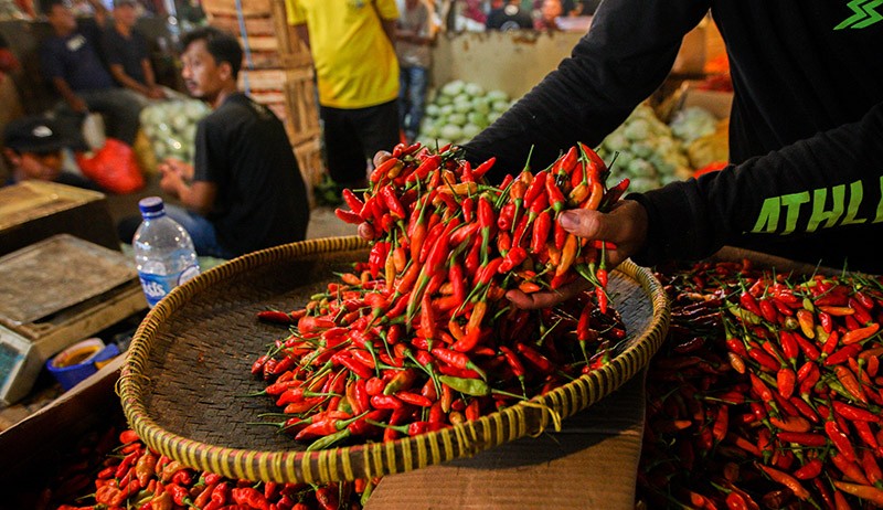 Harga Cabai di Pasar Induk Kramat Jati Turun Menjadi Rp40.000 per Kilogram - Bagian 1