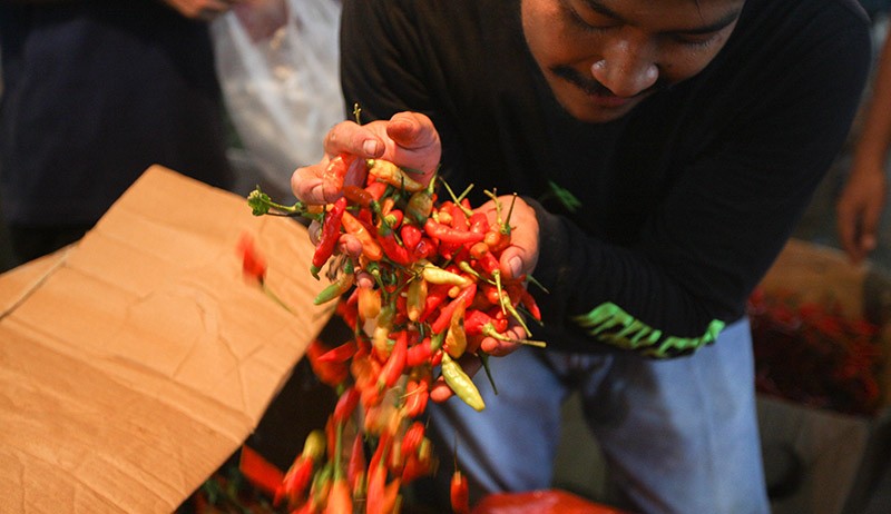 Harga Cabai di Pasar Induk Kramat Jati Turun Menjadi Rp40.000 per Kilogram - Bagian 2