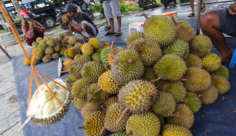 Musim Durian Kasongan Khas Kalimantan Tengah, Harga Jual Mulai Rp20.000 - Bagian 1