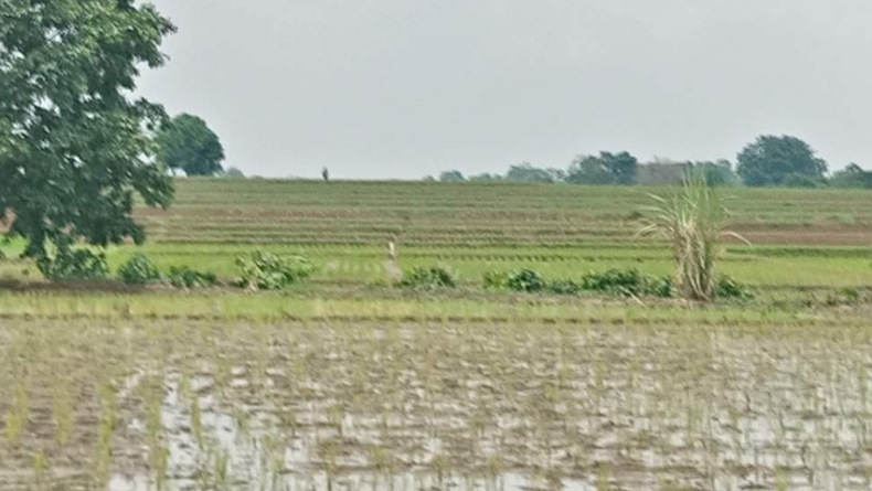 Kabar Baik, 13 Paket Jalan Produksi Pertanian di Sangihe Akan Dikerjakan