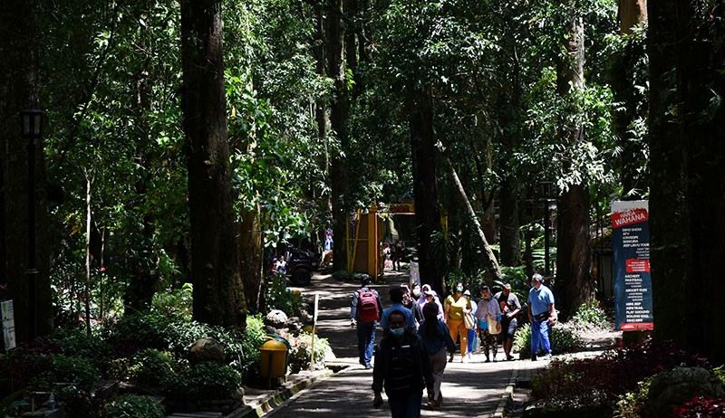 Mengisi Libur Akhir Pekan ke Wana Wisata Lereng Gunung Lawu - Bagian 3