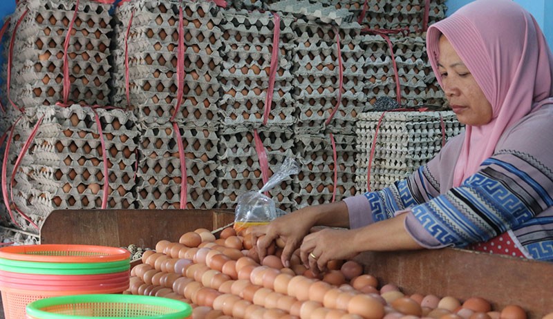 Harga Telur Ayam Berangsur Normal - Bagian 2
