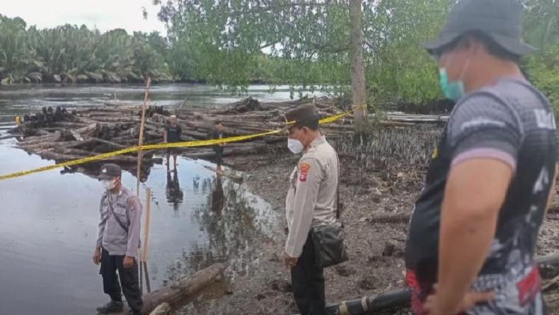 Serangan Buaya di DAS Sebangau, Warga Banjarmasin Hilang usai Diterkam