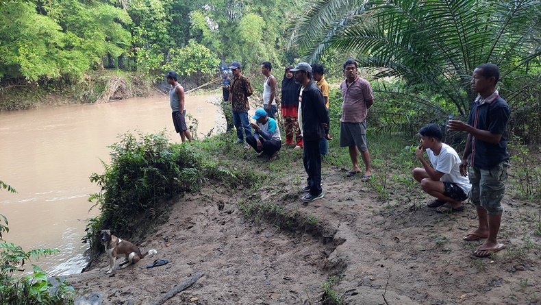 Bocah 9 Tahun di Agam Hilang Usai Mandi di Sungai, Diduga Diterkam Buaya