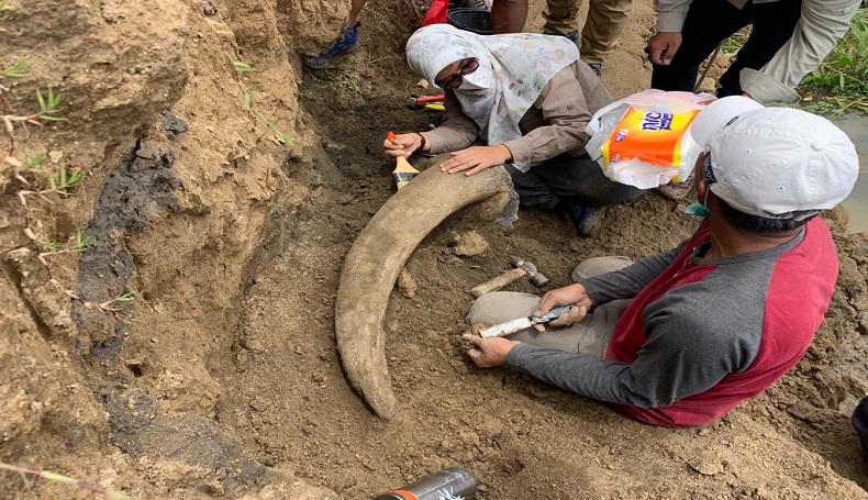 Khawatir Air Waduk Saguling KBB Naik, Peneliti Evakuasi Fosil Gajah di Sirtwo Island