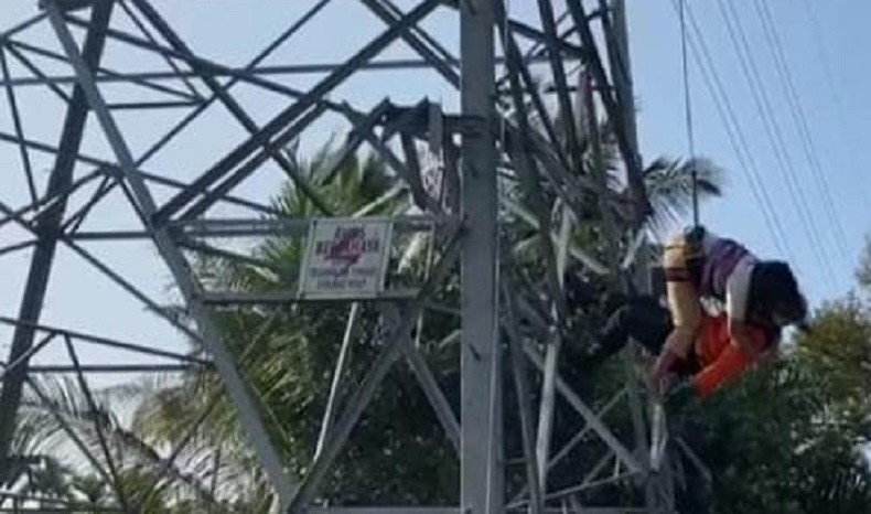 Diduga Depresi, Perempuan Paruh Baya di Pekanbaru Panjat Sutet