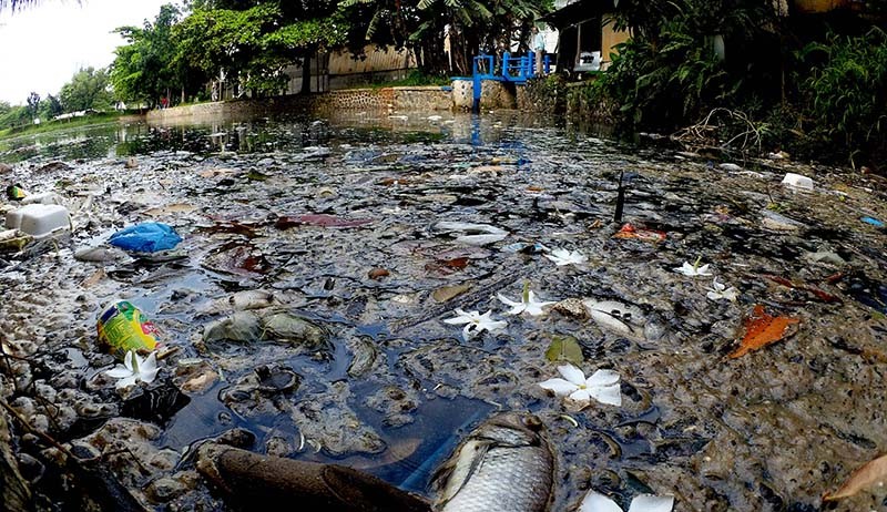 Setu Citongtut Bogor Tercemar Limbah, Ikan-Ikan Mati Air Menjadi Hitam dan Bau - Bagian 1