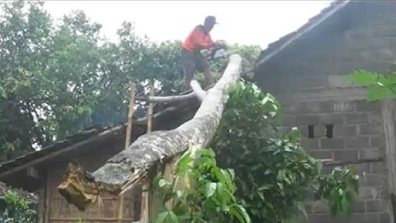 title Angin Ribut Terjang Magelang, 1 Warga Luka Tertimpa Genteng   Angin Ribut Terjang Magelang, 1 Warga Luka Tertimpa Genteng