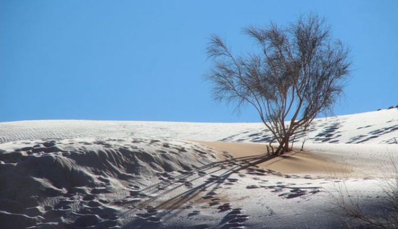 Menakjubkan, Begini Pemandangan Gurun Sahara yang Tandus Diselimuti Salju