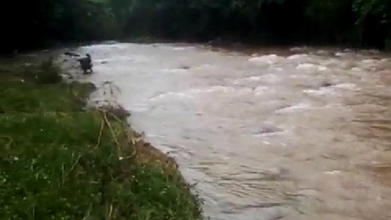 title Seberangi Sungai Bareng 3 Sapi, Warga Way Kanan Hilang Terseret Arus Seberangi Sungai Bareng 3 Sapi, Warga Way Kanan Hilang Terseret Arus