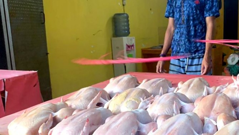Harga Ayam Potong di Gorontalo Masih Tinggi, Dijual Rp75.000 per Ekor 