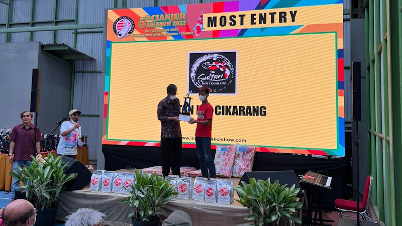 1.778 Ekor Koi Ikut Cianjur Koi Show Berskala Nasional - Bagian 3