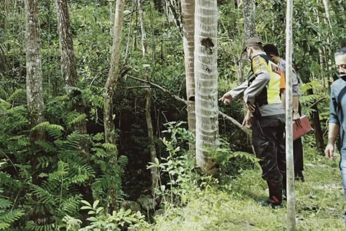 Nahas, Petani Gunungkidul Tewas Terjatuh dari Pohon Kelapa