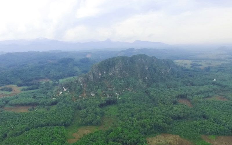 Hasil Penelitian: Batu Bukit Langara Loksado Kalsel Ternyata Fosil Binatang Laut