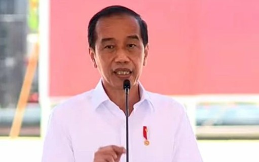 Jokowi Ingin Hilirisasi Dilakukan di Semua Sektor