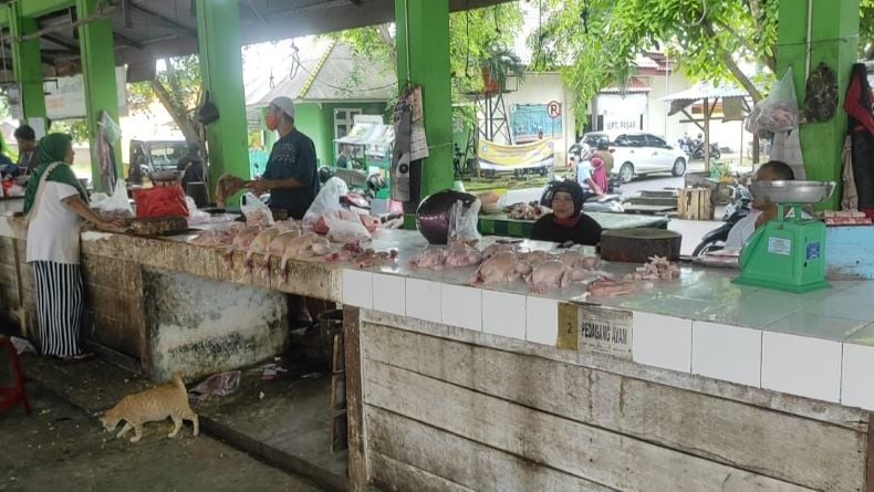 Harga Ayam Potong di Muntok Melonjak, Tembus Rp42.000 per Kilogram