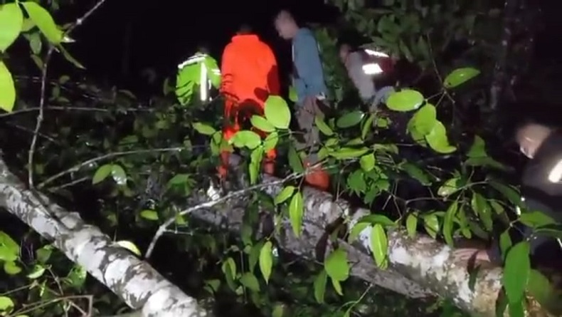 Puting Beliung Terjang Sindangwangi Majalengka, 2 Rumah Warga Tertimpa Pohon