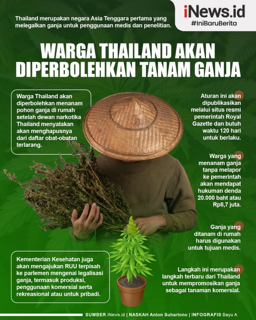 Warga Thailand Akan Diperbolehkan Tanam Ganja di Rumah, Kok Bisa?