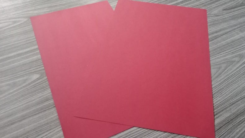 Video Viral Oknum PNS Adu Mulut dengan Ketua Lingkungan Dipicu soal Warna Merah