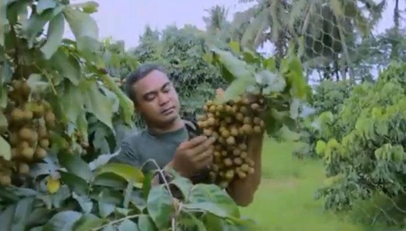  Hebat, Prajurit TNI Berkaki Palsu Ini Ubah Kebun Buah Jadi Destinasi Wisata di Borobudur
