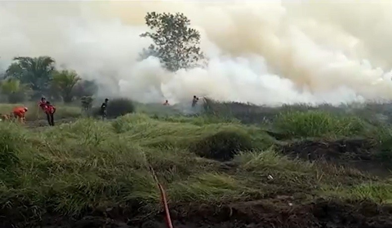 title Lahan Gambut Warga Kotawaringin Barat Terbakar, Petugas Kesulitan Padamkan Api Lahan Gambut Warga Kotawaringin Barat Terbakar, Petugas Kesulitan Padamkan Api