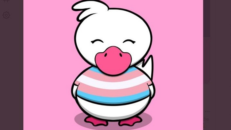 2 Perempuan Ini Hasilkan Rp1,7 Miliar dari Jualan NFT Bebek Kartun