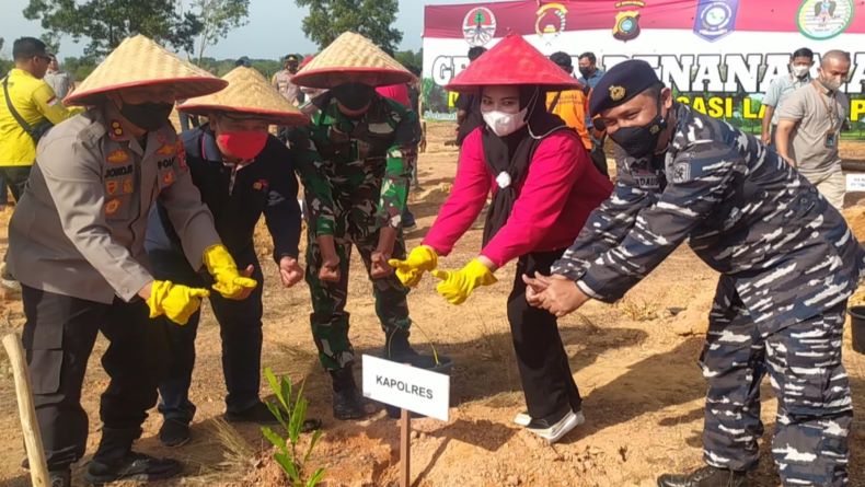 5 Hektare Lahan Bekas Tambang Ilegal di Toboali Disulap Jadi Kebun Jambu Mete