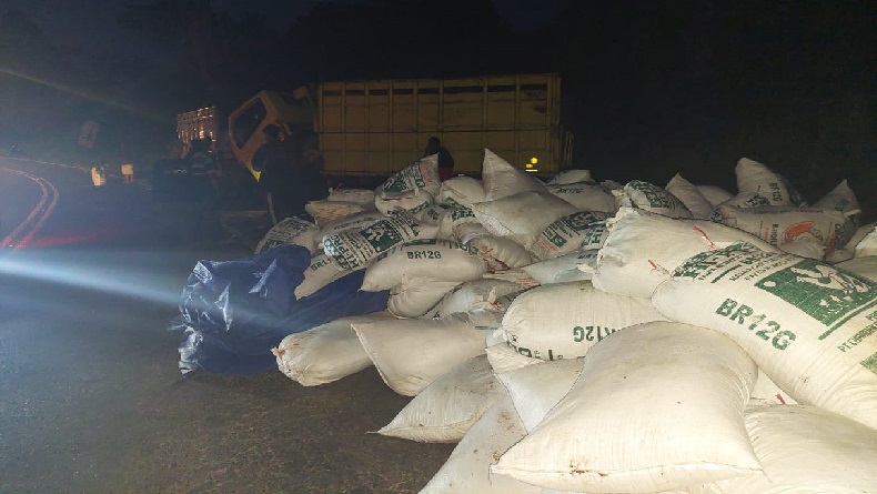 Tak Kuat Menanjak, Truk Bermuatan Pupuk Terguling di Tanjakan Emen Subang