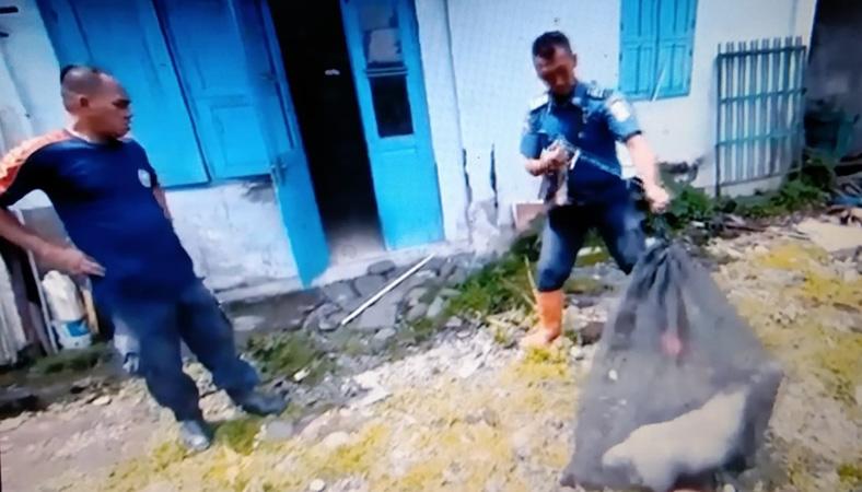  Tiba-Tiba Mengamuk Menyerang Pemiliknya, Anjing Ini Diamankan Petugas Damkar