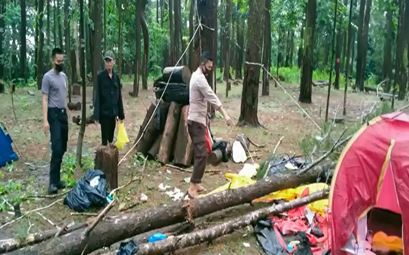 Pohon Tumbang Timpa Tenda Perkemahan Hutan Pinus Tala-Tala, 2 Remaja Tewas