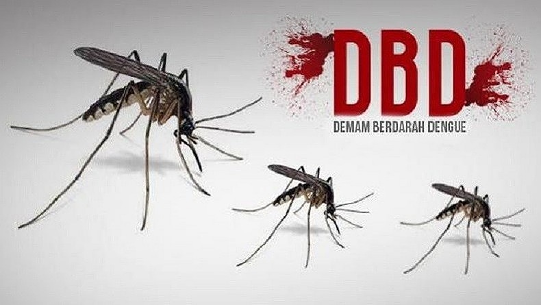 Waspada, DBD di Bangka Capai 150 Kasus